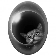 Cabochon en Verre Illustré Chat Curieux devant une Éclipse 13x18, 18x25 ou 30x40mm pour la Création de Bijoux Fantaisie - DIY