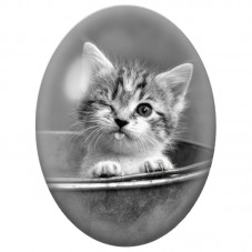 Cabochon en Verre Illustré Chaton Espiègle dans un Seau 13x18, 18x25 ou 30x40mm pour la Création de Bijoux Fantaisie - DIY