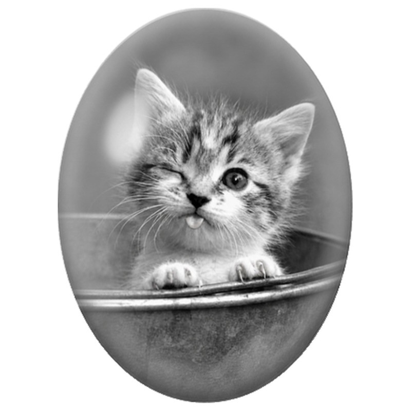 Cabochon en Verre Illustré Chaton Espiègle dans un Seau 13x18, 18x25 ou 30x40mm