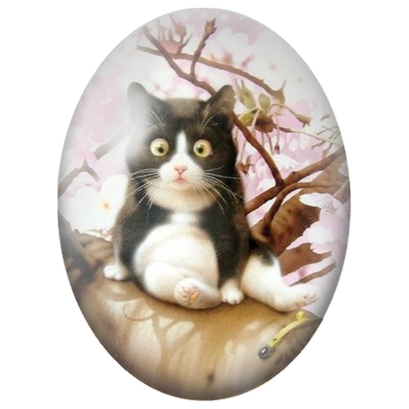 Cabochon en Verre Illustré Chaton Noir et Blanc sur une Branche Fleurie 13x18, 18x25 ou 30x40mm