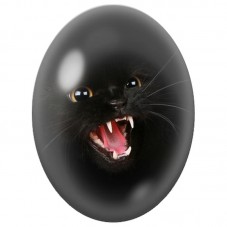 Cabochon en Verre Illustré Chat Noir aux Crocs Apparents 13x18, 18x25 ou 30x40mm pour la Création de Bijoux Fantaisie - DIY