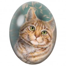 Cabochon en Verre Illustré Portrait de Chat Roux sur Fond Vert 13x18, 18x25 ou 30x40mm pour la Création de Bijoux Fantaisie - DI