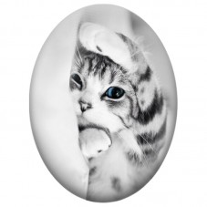 Cabochon en Verre Illustré Chat Tigré aux Yeux Bleus derrière un Rideau 13x18, 18x25 ou 30x40mm pour la Création de Bijoux Fanta