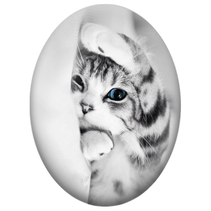 Cabochon en Verre Illustré Chat Tigré aux Yeux Bleus derrière un Rideau 13x18, 18x25 ou 30x40mm