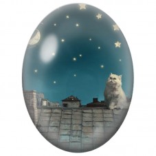 Cabochon en Verre Illustré Chat Blanc sur les Toits Étoilés 13x18, 18x25 ou 30x40mm pour la Création de Bijoux Fantaisie - DIY