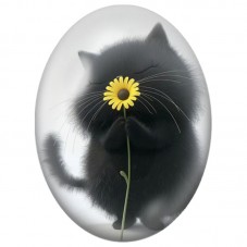 Cabochon en Verre Illustré Chat Noir avec une Marguerite Jaune 13x18, 18x25 ou 30x40mm pour la Création de Bijoux Fantaisie - DI