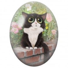 Cabochon en Verre Illustré Chat Noir et Blanc aux Grands Yeux Verts 13x18, 18x25 ou 30x40mm pour la Création de Bijoux Fantaisie
