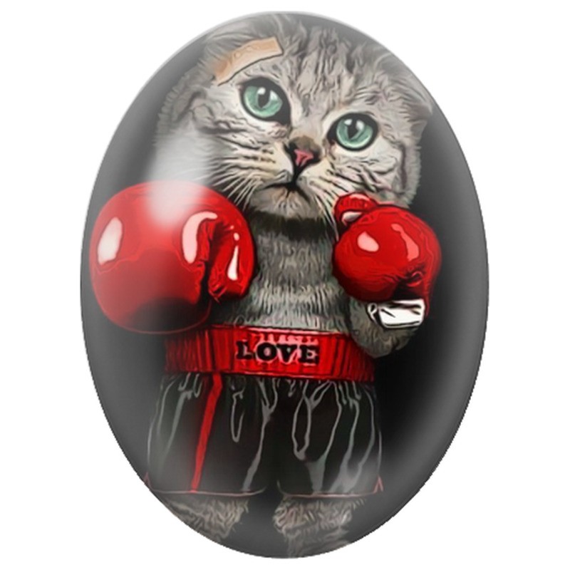 Cabochon en Verre Illustré Chat Boxeur aux Gants Rouges 13x18, 18x25 ou 30x40mm