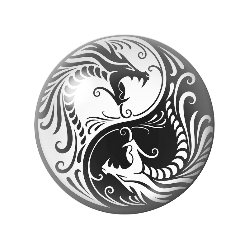 Cabochon en Verre Illustré Yin Yang Deux Dragons Noir et Blanc 12 à 25mm