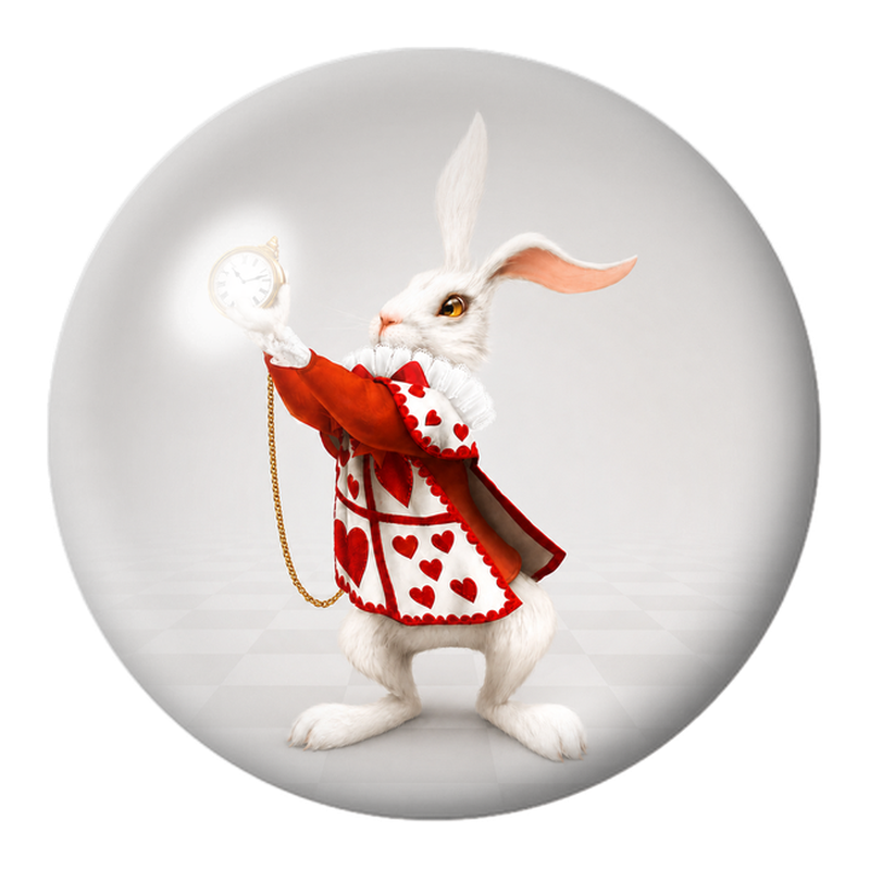 Cabochon en Verre Illustré Lapin Blanc à la Montre de Poche 12 à 25mm
