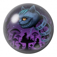 Cabochon en Verre Illustré Nous Sommes Tous Fous Ici 12 à 25mm pour la Création de Bijoux Fantaisie - DIY