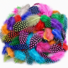 10 Plumes Tachetées Multicolores 5 à 10cm pour la Création de Bijoux Fantaisie - DIY