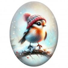 Cabochon en Verre Illustré Oiseau au Bonnet Rayé Rouge et Bleu 13x18, 18x25 ou 30x40mm pour la Création de Bijoux Fantaisie DIY
