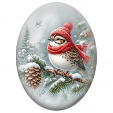 Cabochon en Verre Illustré Oiseau au Bonnet Rouge et au Foulard 13x18, 18x25 ou 30x40mm pour la Création de Bijoux Fantaisie DIY