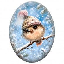 Cabochon en Verre Illustré Oiseau sur une Branche Givrée 13x18, 18x25 ou 30x40mm pour la Création de Bijoux Fantaisie DIY