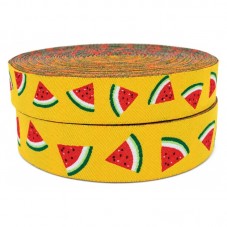 1 Mètre de Ruban Tissé Jacquard Pastèque 22mm pour la Création de Bijoux Fantaisie - DIY