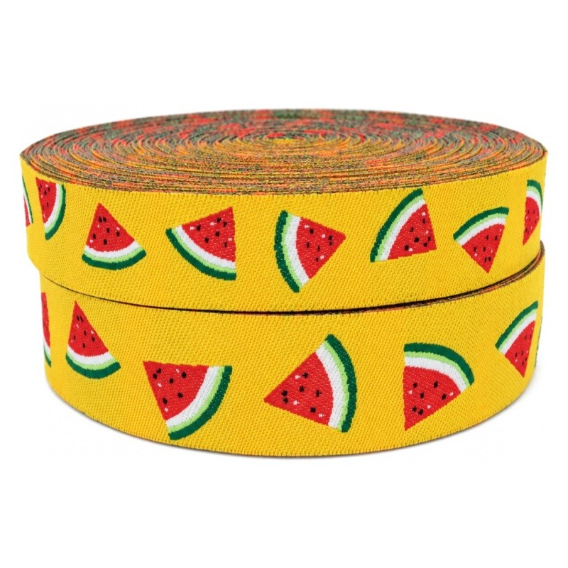 1 Mètre de Ruban Tissé Jacquard Pastèque 22mm
