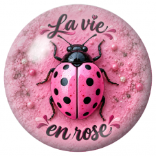 Cabochon en Verre Illustré Coccinelle La Vie en Rose 12 à 25mm pour la Création de Bijoux Fantaisie - DIY