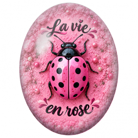 Cabochon en Verre Illustré Coccinelle La Vie en Rose 13x18, 18x25 ou 30x40mm
