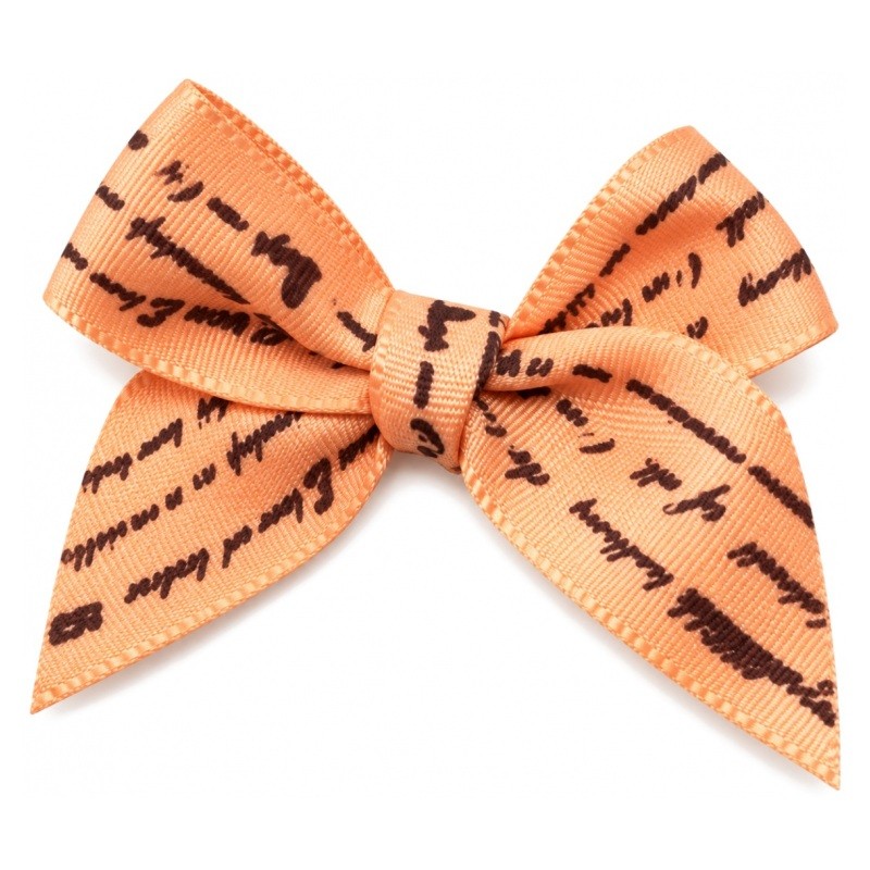 5 Nœuds Imprimés Écriture en Satin Orangé 45mm