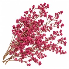 Sachet de Fleurs Séchées Rose Foncé pour Globe ou Fiole pour la Création de Bijoux Fantaisie - DIY