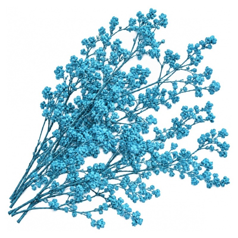 Sachet de Fleurs Séchées Bleues pour Globe ou Fiole