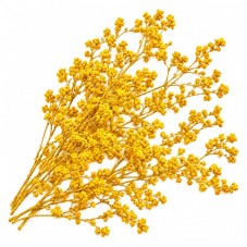 Sachet de Fleurs Séchées Jaunes pour Globe ou Fiole pour la Création de Bijoux Fantaisie - DIY