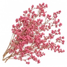 Sachet de Fleurs Séchées Roses pour Globe ou Fiole pour la Création de Bijoux Fantaisie - DIY