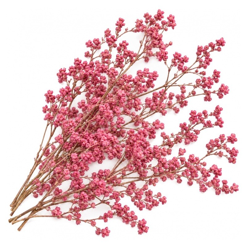 Sachet de Fleurs Séchées Roses pour Globe ou Fiole