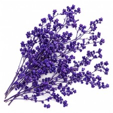 Sachet de Fleurs Séchées Violettes pour Globe ou Fiole pour la Création de Bijoux Fantaisie - DIY