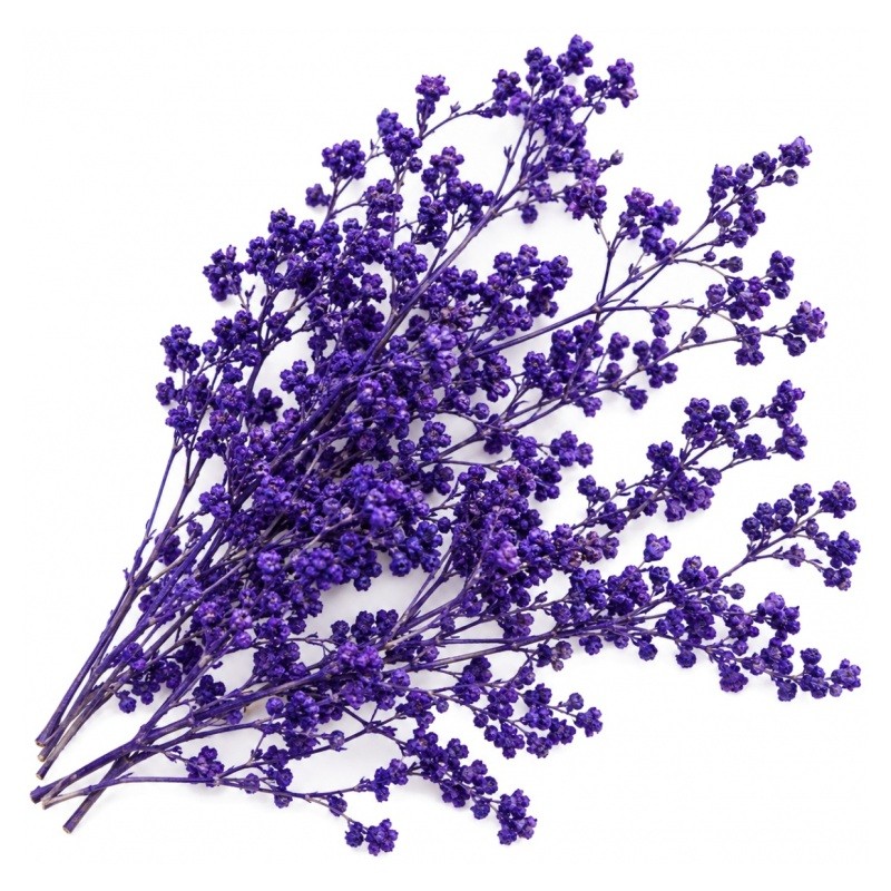 Sachet de Fleurs Séchées Violettes pour Globe ou Fiole