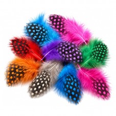 10 Plumes Tachetées Multicolores 5 à 10cm pour la Création de Bijoux Fantaisie - DIY