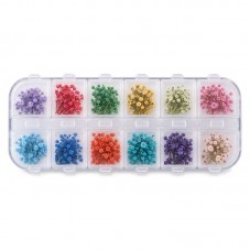 Boîte de Fleurs Séchées Multicolores – 12 Compartiments pour la Création de Bijoux Fantaisie - DIY