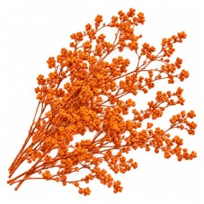1 Sachet de Fleurs Séchées Orange pour Globe et Fiole pour la Création de Bijoux Fantaisie - DIY