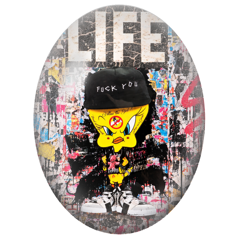 Cabochon en Verre Illustré Titi Rebelle Street Art 13x18, 18x25 ou 30x40mm