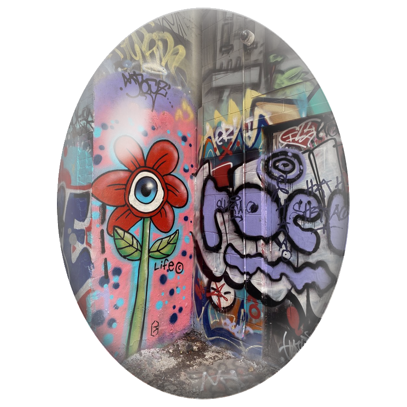 Cabochon en Verre Illustré Fleur à l’Œil sur Mur Graffiti 13x18, 18x25 ou 30x40mm