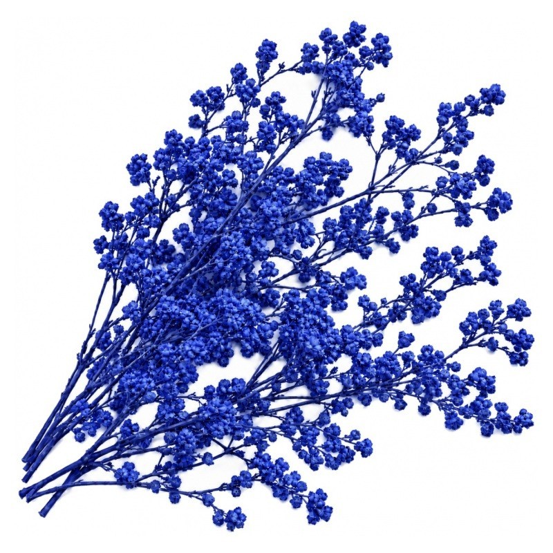 1 Sachet de Fleurs Séchées Bleu pour Globe et Fiole