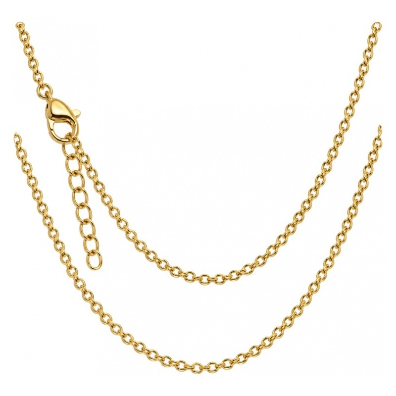 Collier Chaîne à Mailles 2x3mm en Acier Inoxydable Doré - 45cm Long