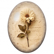 Cabochon en Verre Illustré Marguerite Vintage sur Papier Ancien 13x18, 18x25 ou 30x40mm - Pour la Création de Bijoux Fantaisie