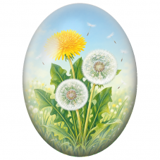 Cabochon en Verre Illustré Pissenlits au Ciel Bleu 13x18, 18x25 ou 30x40mm - Pour la Création de Bijoux Fantaisie - DIY