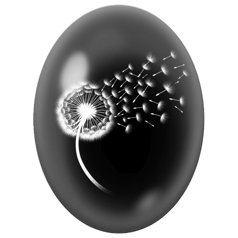 Cabochon en Verre Illustré Pissenlit Blanc sur Fond Noir 13x18, 18x25 ou 30x40mm