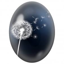 Cabochon en Verre Illustré Pissenlit Blanc sur Fond Bleu Nuit 13x18, 18x25 ou 30x40mm - Pour la Création de Bijoux Fantaisie