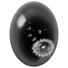 Cabochon en Verre Illustré Graines de Pissenlit sur Fond Noir 13x18, 18x25 ou 30x40mm - Pour la Création de Bijoux Fantaisie