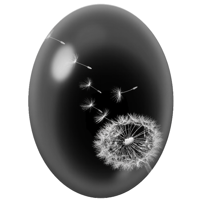 Cabochon en Verre Illustré Graines de Pissenlit sur Fond Noir 13x18, 18x25 ou 30x40mm