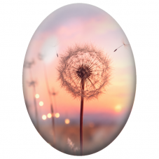 Cabochon en Verre Illustré Pissenlit au Coucher du Soleil 13x18, 18x25 ou 30x40mm - Pour la Création de Bijoux Fantaisie - DIY