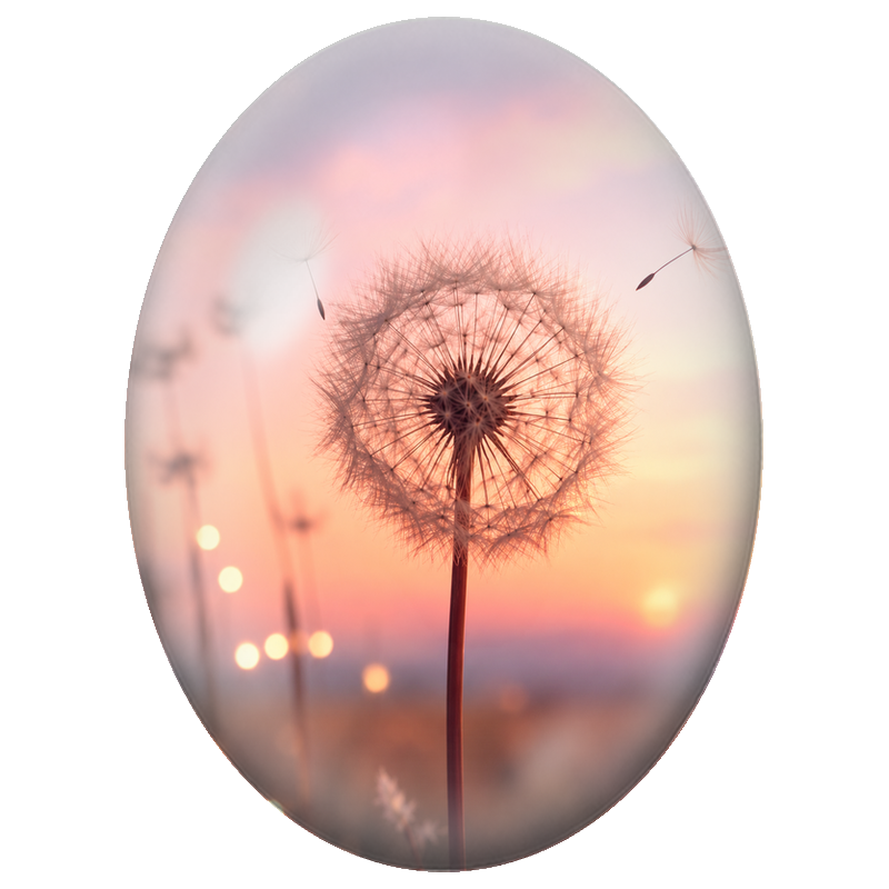 Cabochon en Verre Illustré Pissenlit au Coucher du Soleil 13x18, 18x25 ou 30x40mm