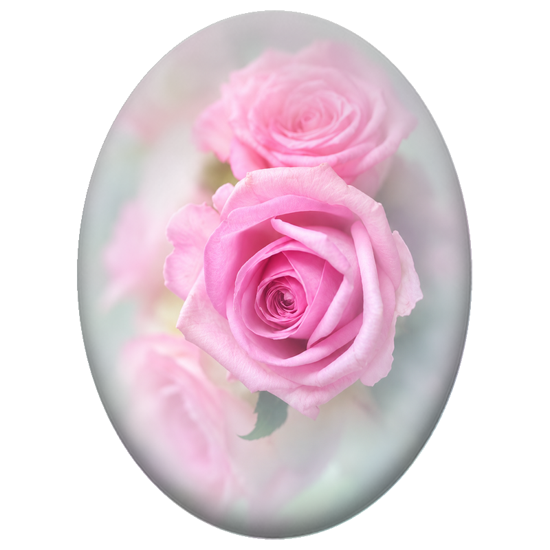 Cabochon en Verre Illustré Roses Roses dans une Brume Pastel 13x18, 18x25 ou 30x40mm