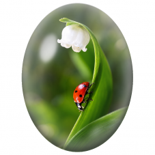 Cabochon en Verre Illustré Muguet et Coccinelle 13x18, 18x25 ou 30x40mm - Pour la Création de Bijoux Fantaisie - DIY