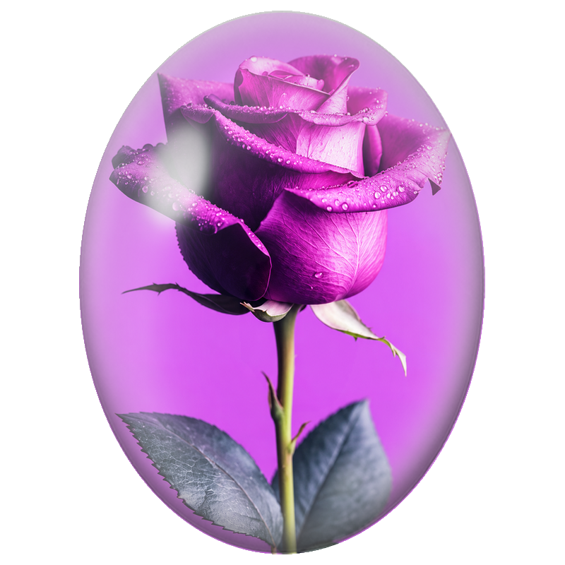 Cabochon en Verre Illustré Rose Violette Couverte de Rosée 13x18, 18x25 ou 30x40mm