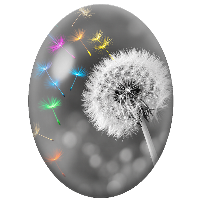 Cabochon en Verre Illustré Pissenlit aux Graines Multicolores 13x18, 18x25 ou 30x40mm